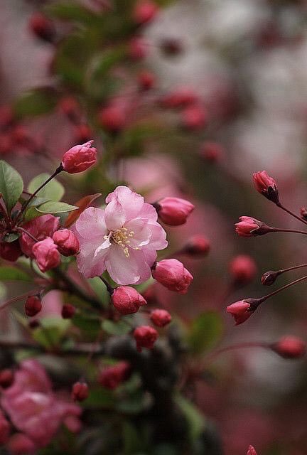 47261E2C-F0C0-4000-B436-CD2B7A2524B2