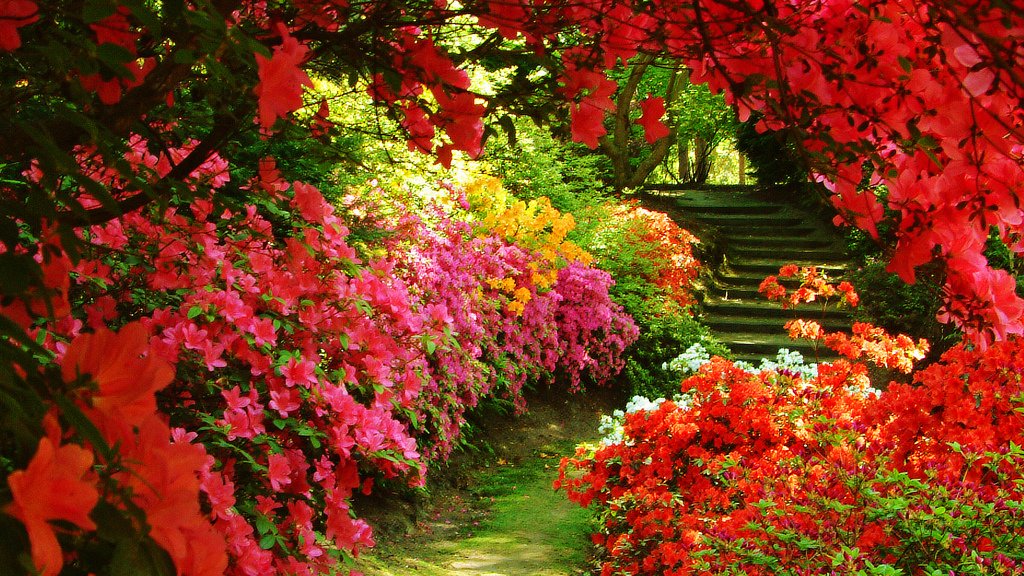 FCDF2C68-D272-4A93-B5DD-02DEB331DBB8